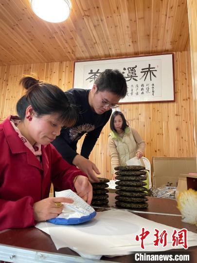 資料圖：杜贏(左二)在整理白茶餅?！×执阂?攝